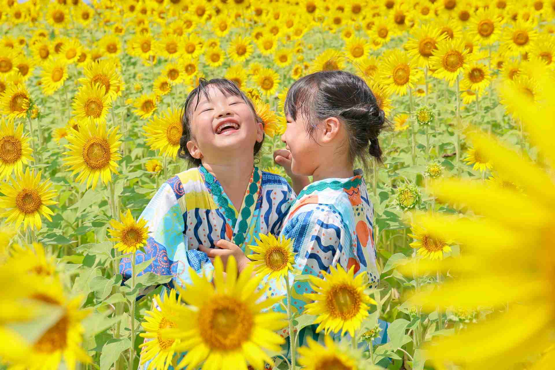 満開のひまわり畑と子どもたち